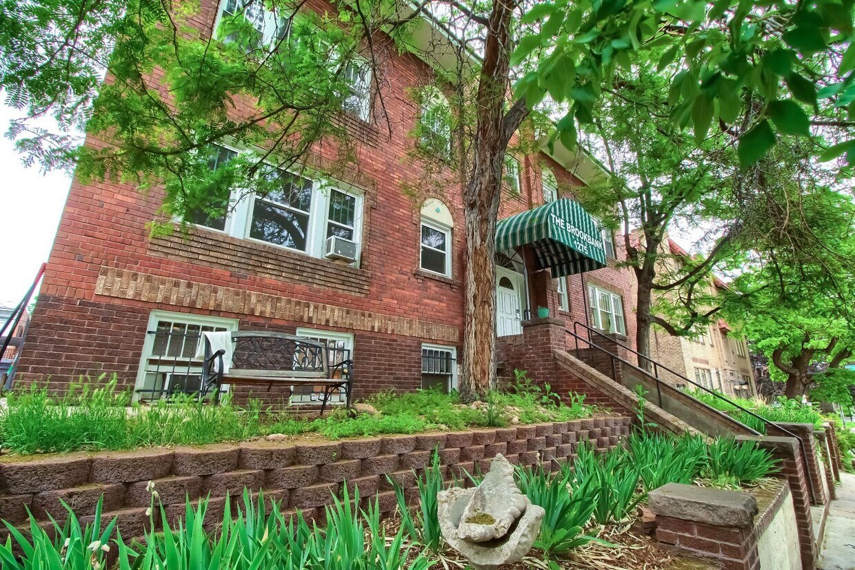 Primary Photo - One Bedroom Condo in Denver