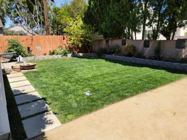 Backyard - 10724 Encino Ave