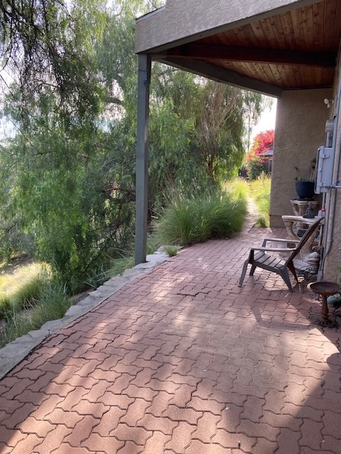 Front porch, garden pathway - 170 Thompson Ave