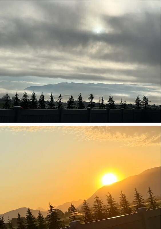 Foto del edificio - 3431 Goldenrod Ln