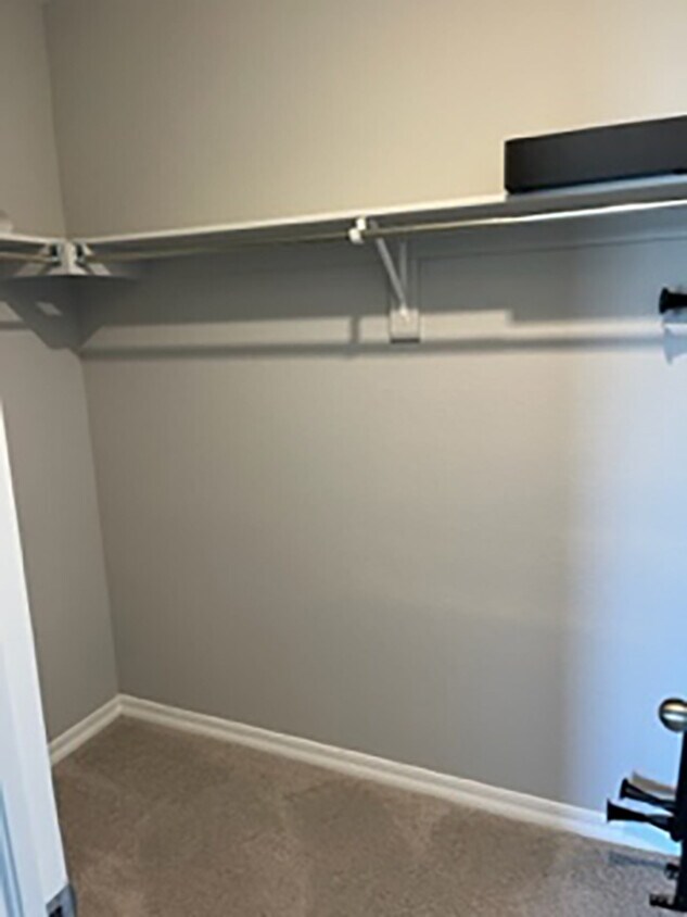 5835 Morning Light Ter Unit Basement Apartment, Colorado Springs, CO