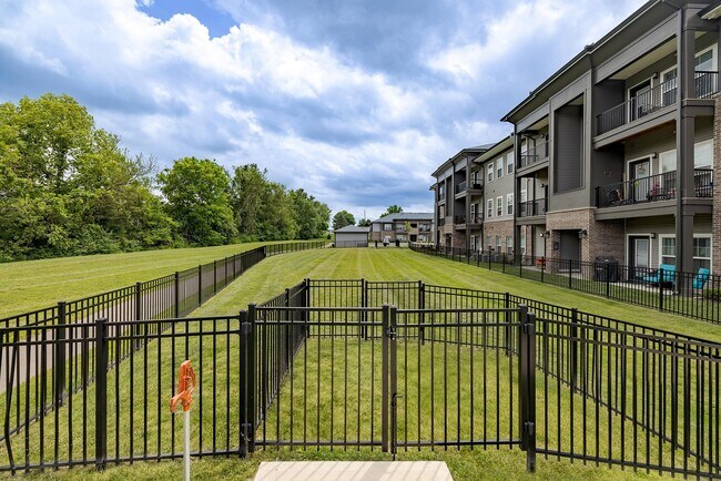 Parque para perros sin correa - The Retreat at Canal Apartments
