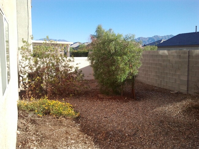 Building Photo - CONCORDIA AT DEER SPRINGS SUBDIVISION! 3 B...
