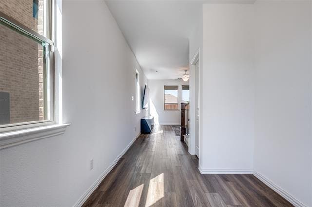 Foto del edificio - 1438 Martingale Ln