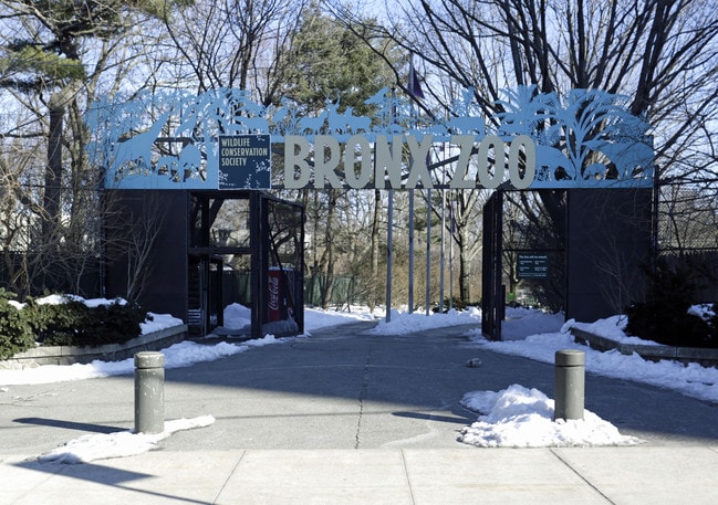 Visit Bronx Zoo in Bronx Park.
