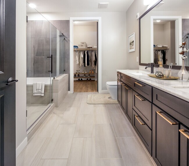 Hazel Southpark Apartments Charlotte, NC