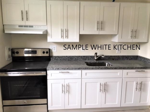 Sample Reno Kitchen - Ottawa House