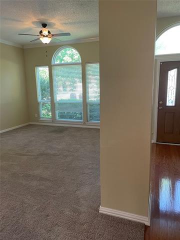 Foto del edificio - 11317 Knoxville Ln