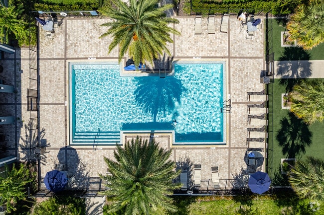 Piscina - Valencia Grove II