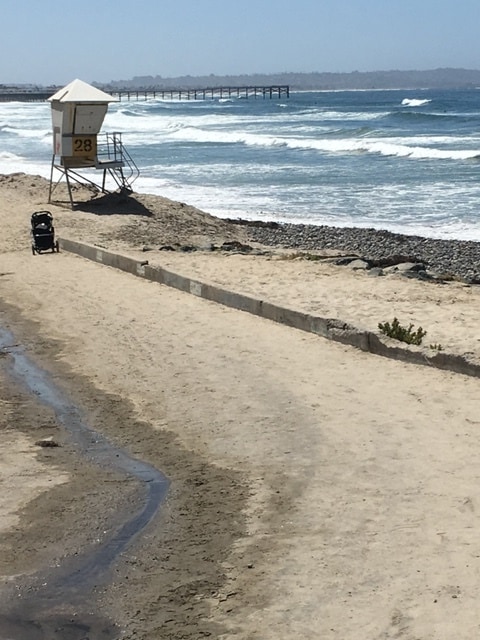 Building Photo - 5051 La Jolla Blvd