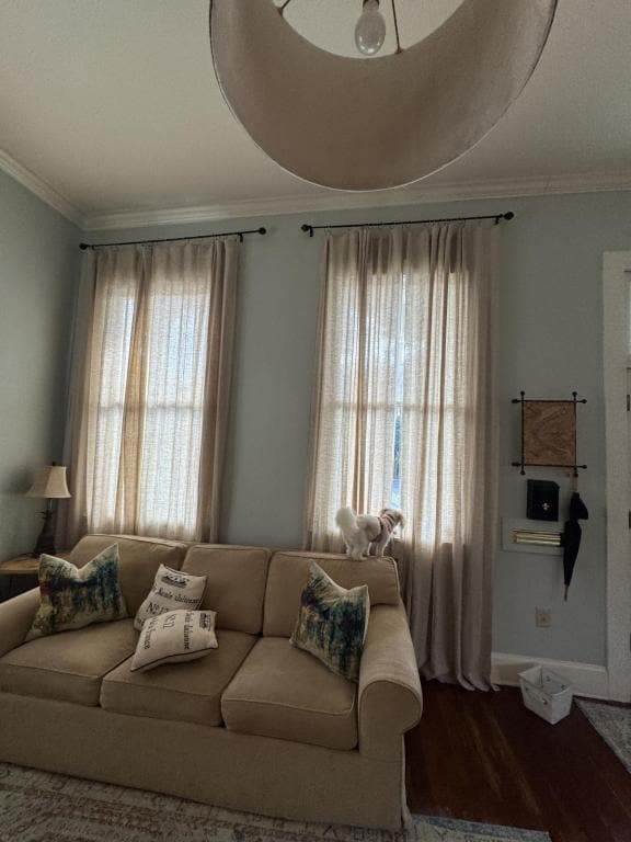 Photo - 916 Jena St House