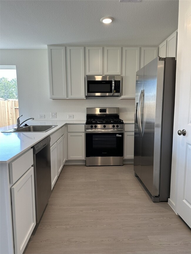 Building Photo - 1518 Amber Skies Ln