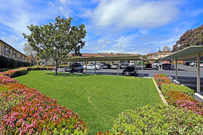 Courtyard - La Jolla Terrace