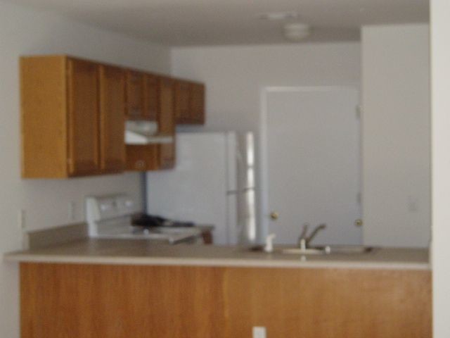 Building Photo - 1803 Treeline Ct.