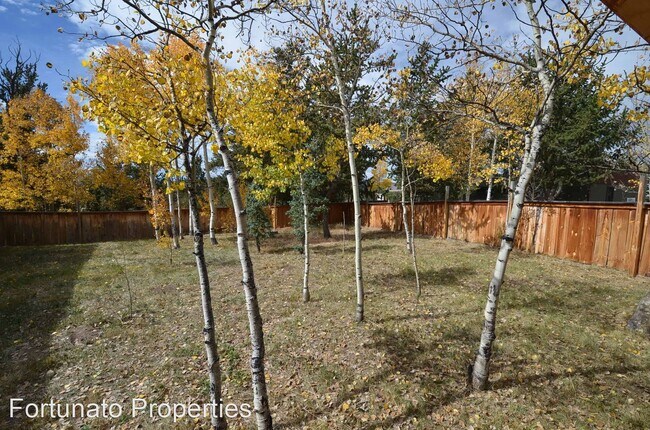 Building Photo - 3 br, 2 bath House - 230 Pine Dr.