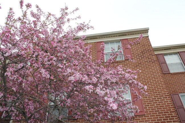 Building Photo - 637 Coates Ln