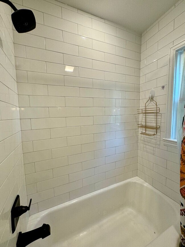 Foto del edificio - Knoxville 37917 - 2 bedroom 1 bath - Conta...