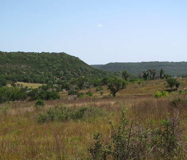 Picture of Georgetown Leander Georgetown