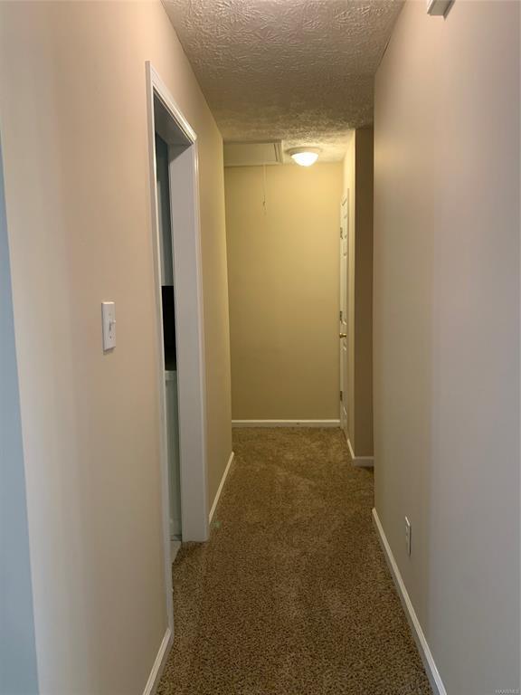 Foto del edificio - 131 Live Oaks Dr