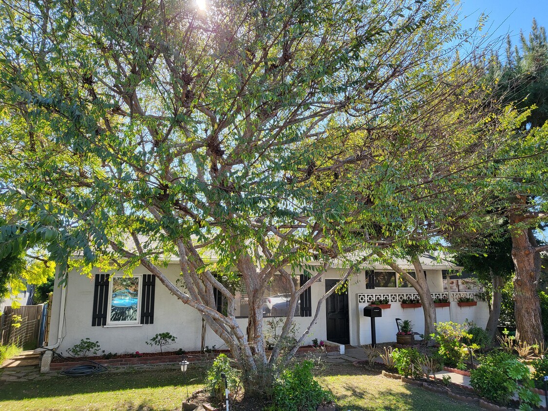 Foto principal - 2324 Pier Ave
