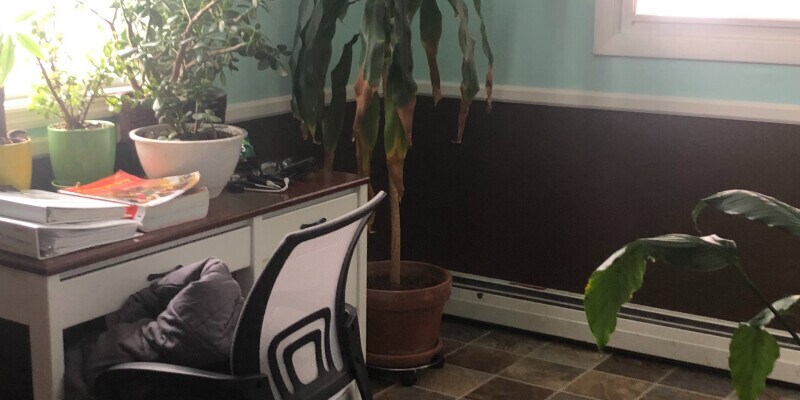 Primary Photo - Centerville