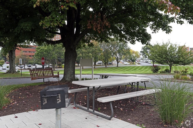 BBQ Area - Lehigh Plaza