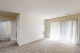 Located at 17121 Queen Victoria Ct in Gaithersburg, MD, this single-floor, one-bedroom, one-bathroom residence offers a well-organized and functional layout. The living room is a bright, open space featuring wall-to-wall carpet, neutral walls, and a large sliding glass door with vertical blinds that invites natural light and provides outdoor access. The combined dining room and kitchen area is a standout feature, showcasing a galley-style design with rich dark cabinetry, granite-toned countertops, black appliances including a gas range, microwave, and refrigerator, as well as wood-look flooring and track lighting. A stacked washer and dryer unit is conveniently integrated directly off the kitchen, adding everyday practicality. The spacious primary bedroom continues the warm, carpeted aesthetic with a dedicated window fitted with vertical blinds for natural light and privacy. The full bathroom includes a shower-tub combination, toilet, and wood-look flooring. Four closets throughout the unit provide generous storage options. A hallway connects all areas of the home, contributing to a cohesive and efficient floor plan that makes practical use of every square foot.