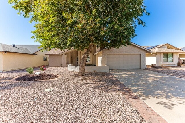 Photo - 908 S 78th Pl House
