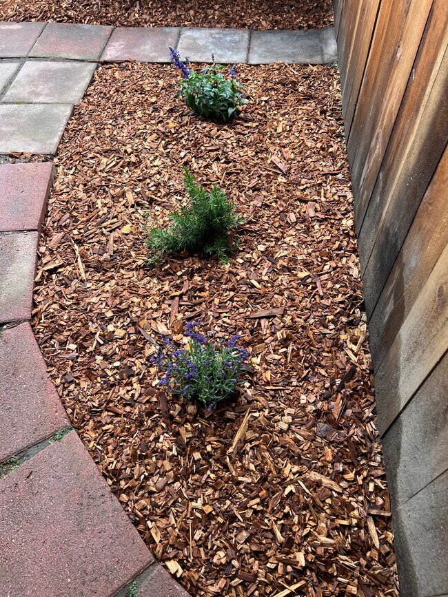 Foto del edificio - 337 Alta Ave