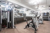 Located at 25 Vose Ave in South Orange, NJ, this fitness center offers a well-appointed, single-floor workout facility designed to support a comprehensive exercise routine. The space is thoughtfully laid out to accommodate a wide range of fitness activities, from cardiovascular training to strength and conditioning work.

The main workout area is furnished with an array of cardio equipment, including treadmills, elliptical trainers, and stationary spin bikes. Strength training is well-represented with a cable machine system, a dedicated free weights section featuring dumbbells of varying sizes, and a rack stocked with medicine balls for functional training. A workout bench adds further versatility to the strength training zone.

Wall-to-wall mirrors line one side of the space, enhancing the sense of openness and allowing users to monitor their form. Mounted flat-screen televisions provide entertainment throughout the facility. The interior is finished with neutral-toned carpet flooring, a drop ceiling with a combination of recessed and decorative flush-mount lighting, and light blue walls trimmed with rich dark wood paneling that adds a polished, upscale feel.

Access to the facility is secured via a keycard entry system, and the space connects to adjacent areas through glass-paneled, dark-framed doors. The overall atmosphere is clean, modern, and professional, making it a well-equipped destination for residents seeking a convenient on-site fitness option.