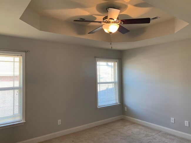 Primary room with tray ceilings - 253 Village Springs Dr