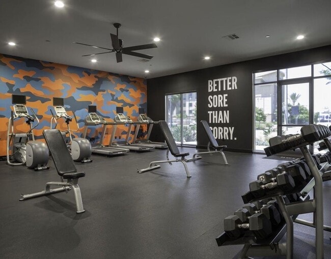 Fitness Center - Palomar Station