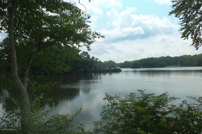 Building Photo - 10 Bowie Pl