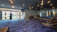 This fitness center is a thoughtfully designed facility that combines functionality with refined architectural character. The space is organized into distinct workout zones, each tailored to a specific type of training. The cardio area is outfitted with a row of treadmills, elliptical machines, and rowing equipment, all positioned to take advantage of expansive windows that frame views of the surrounding landscaped grounds, filling the room with natural light and an open, airy feel. Ceiling fans overhead contribute to a comfortable workout environment.

The strength training zone features a multi-station cable machine, free weight benches, and a well-stocked dumbbell rack, complemented by floor-to-ceiling mirrors that visually expand the space and assist with form. A separate area with a squat rack and weight bench provides a dedicated space for serious lifting.

Throughout the facility, the interior design is notably upscale, with deep navy and slate-toned walls, white wainscoting and decorative columns, coffered ceiling details, and recessed lighting. The rich blue patterned carpet tiles ground the space and add a sophisticated, contemporary aesthetic. Large glass-paned doors connect sections of the facility and provide glimpses of the exterior, reinforcing the sense of openness and connection to the outdoors.