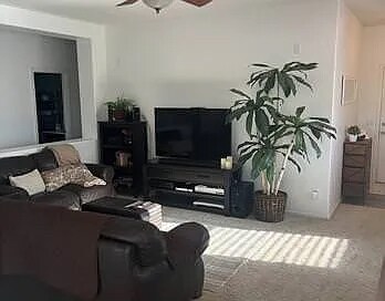 Foto del edificio - 1126 E Pedro Rd