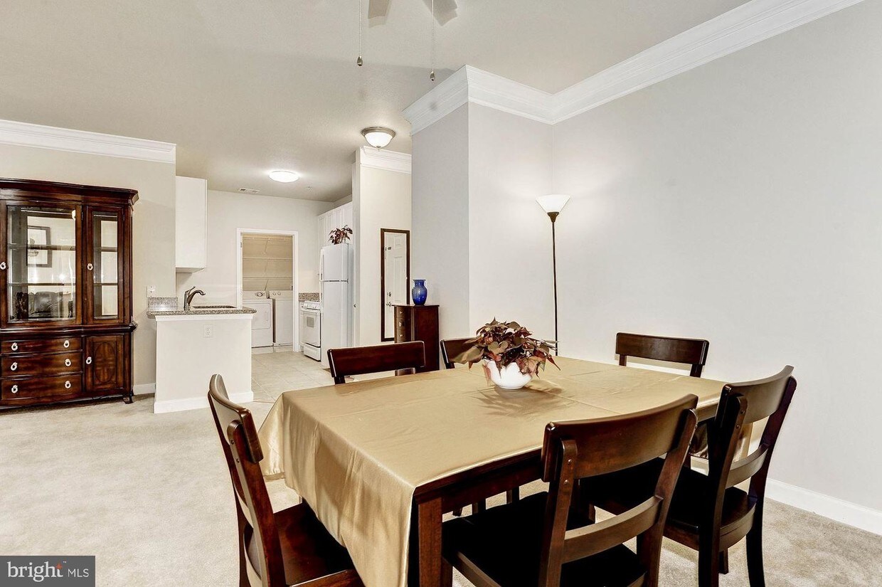 501 Hungerford Dr Unit 234, Rockville, MD 20850 Condo for Rent in