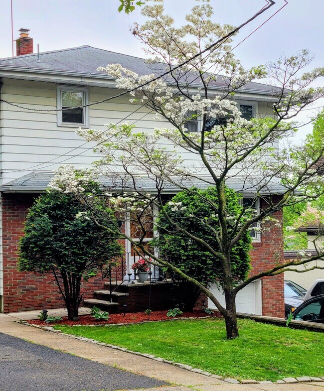 Foto del edificio - 29 Woodland Rd