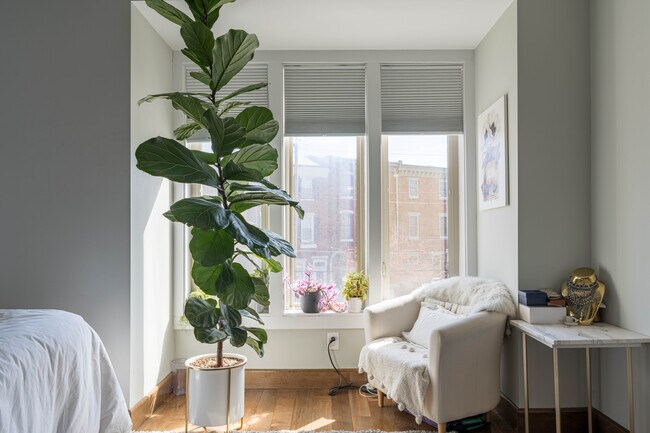 Foto del edificio - 1246 Frankford Ave