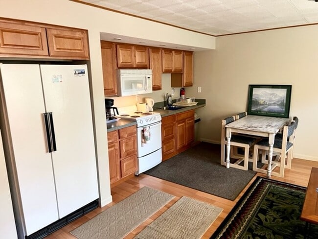 Building Photo - Downtown Furnished One Bed Includes Utilities