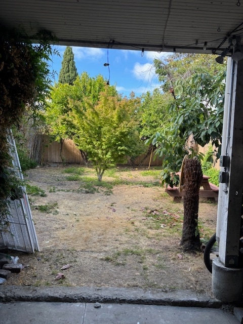 Back yard - 344 40th St