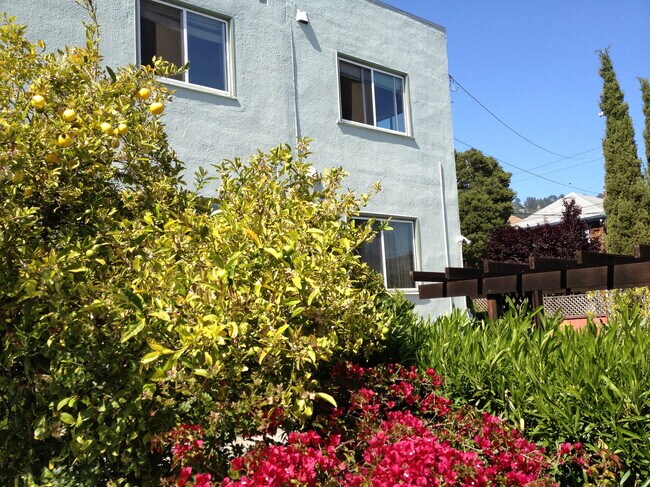 Building - 1334 Walnut St