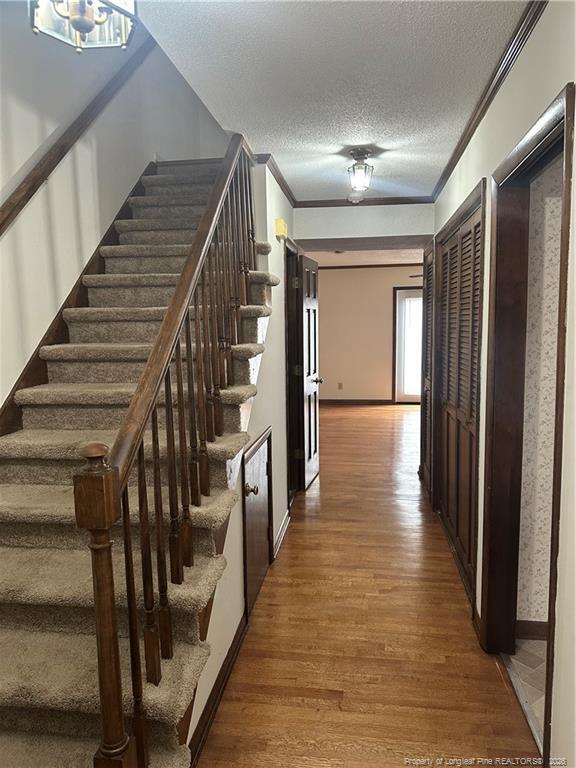 Foto del edificio - 3702 Cliffridge Dr