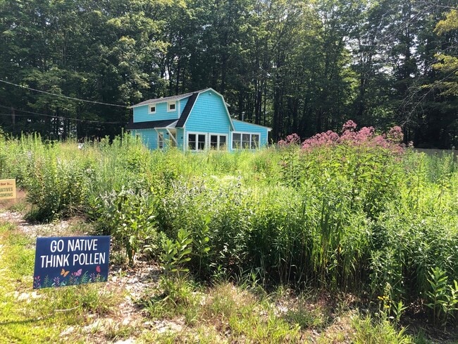 Vew of the meadow - 46 Wilmot Center Rd