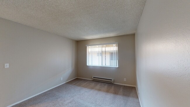 Interior Photo - Birch Creek