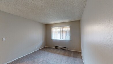 Interior Photo - Birch Creek
