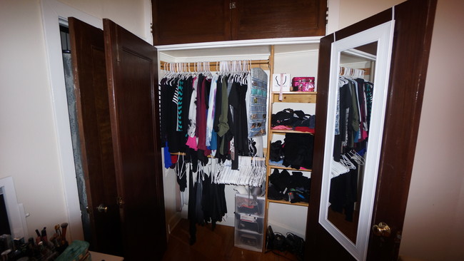 A Bedroom Closet - 3330 N Lake Shore Dr