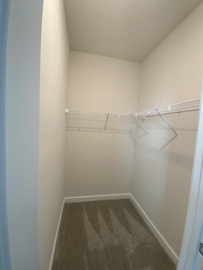 Building Photo - 9005 Via Di Canti Dr