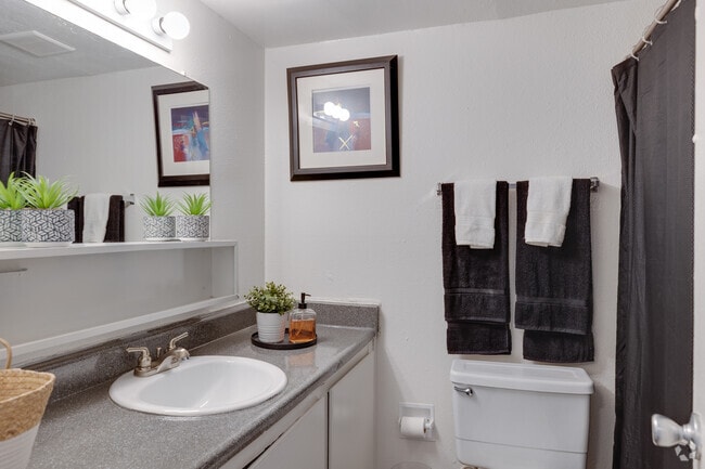 1BR, 1BA - 550SF - Courtyard at Encanto Apartments
