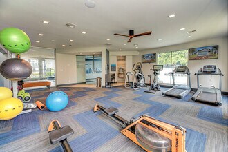 Cypress Creek photo'