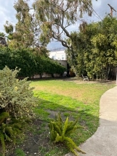 back yard - 8543 Pickford St